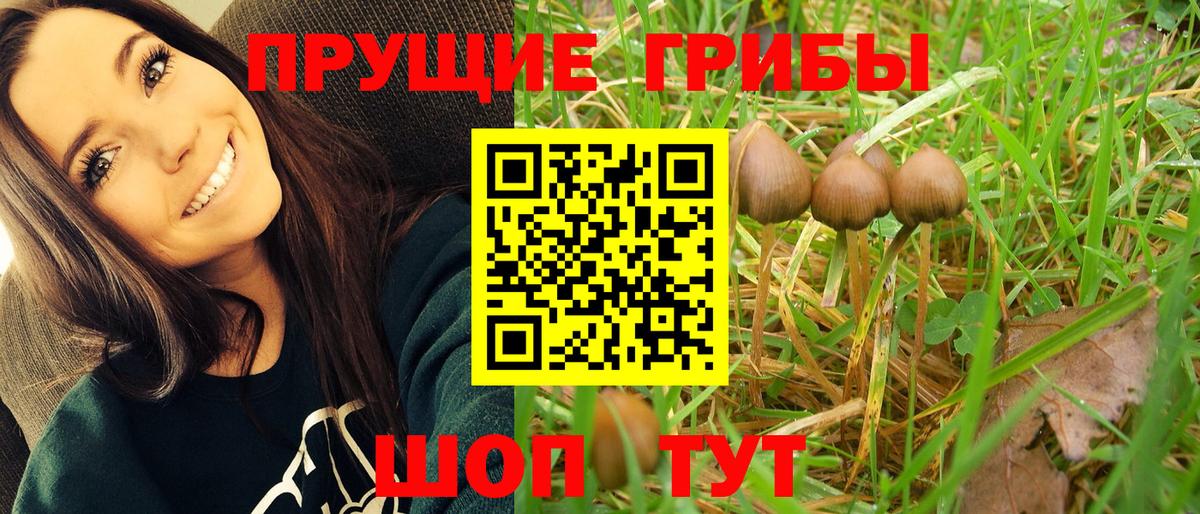 Меф   МЕФ  Конопля  Гусиноозёрск  Вход с VPN  ЭКСТАЗИ 