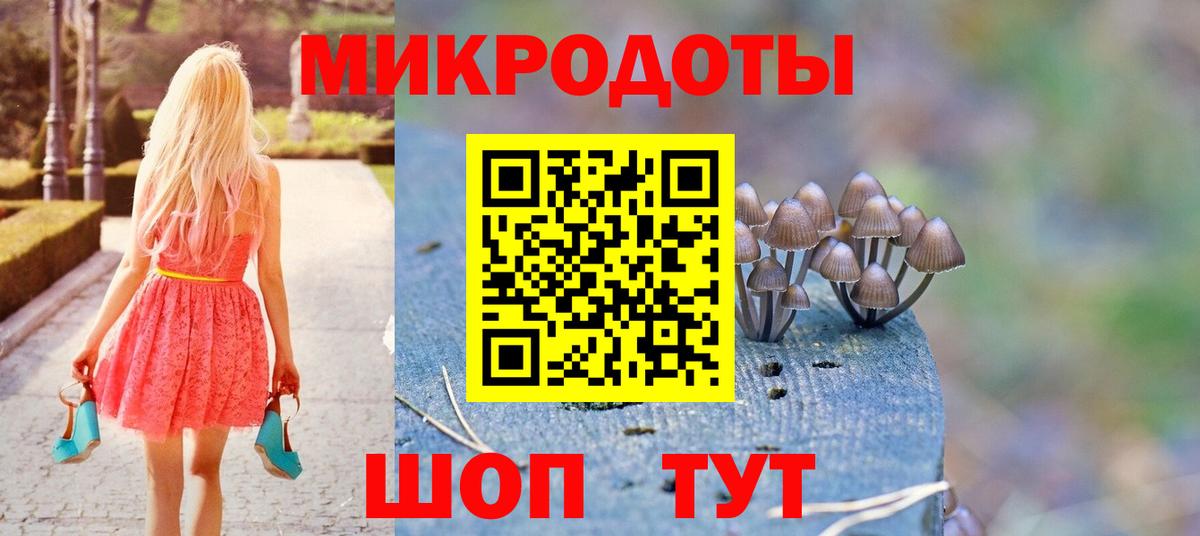 Гусиноозёрск  Галлюциногенные грибы Psilocybine cubensis  Вход с VPN 